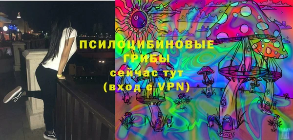 синтетический гашиш Алексин