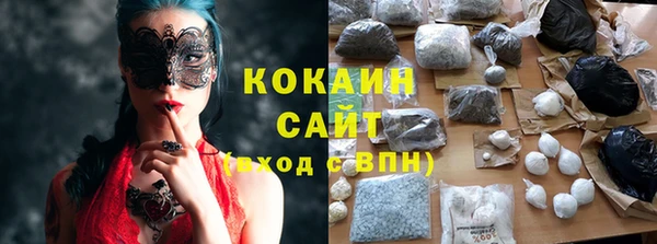 apvp Кукмор