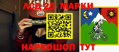 шишки Заволжье