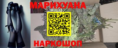 шишки Заволжье