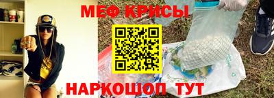 шишки Заволжье