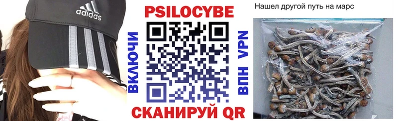 продажа наркотиков  Находка  Псилоцибиновые грибы Magic Shrooms 